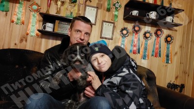 Новые владельцы